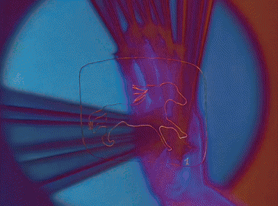 peel gif